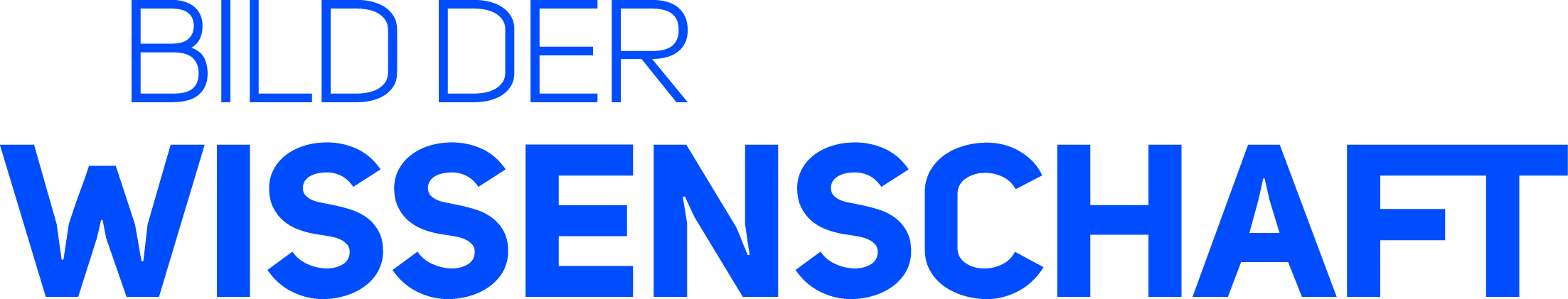 Logo Bild der Wissenschaft