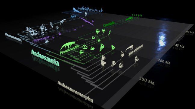 3D-Darstellung des Stammbaums der Archosaurier