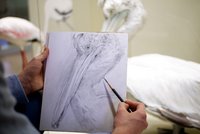 Künstler erstellt Zeichnung von einem Pelikan