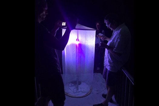 mehrere Personen stehen um eine Lichtfalle für den Insektenfang bei Nacht
