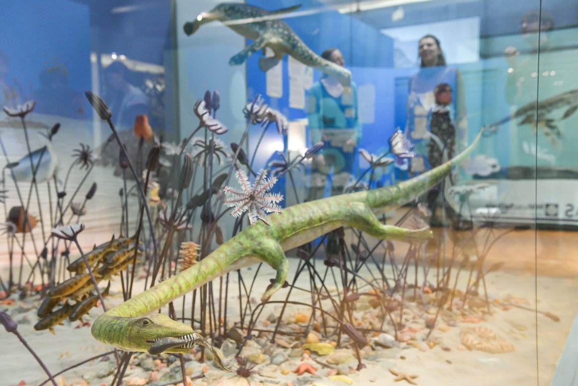 Nachgebauter Lebensraum Muschelkalkmeer mit Modell eines Giraffenhalssauriers im Vordergund, im Hintergrund stehen noch mehrere Besucher