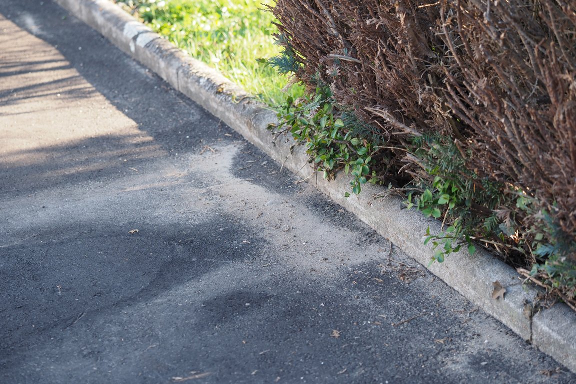 Das Bild zeigt einen Gehweg, am Rand ist Sand zu erkennen, der von der Großen Drüsenameise ausgeworfen wurde.