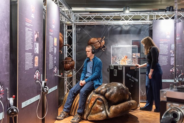 Zwei Besucher im Bereich Erdaltertum der Sonderausstellung Rock Fossils