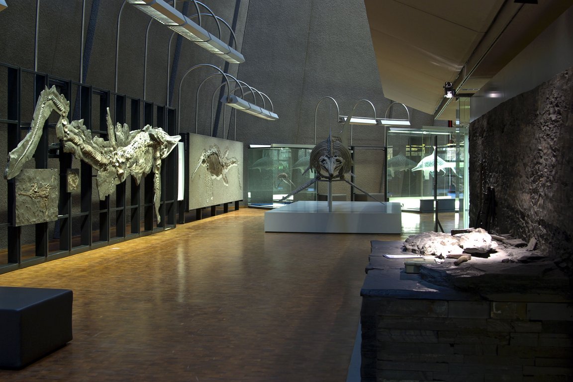 Übersicht Ausstellungsbereich Schwarzer Jura