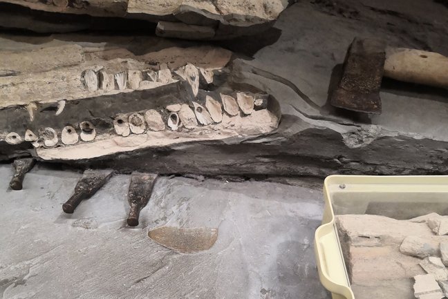 Fossil im Gestein mit Werkzeugen