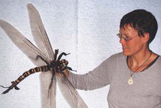 Meganeuropsis Modell