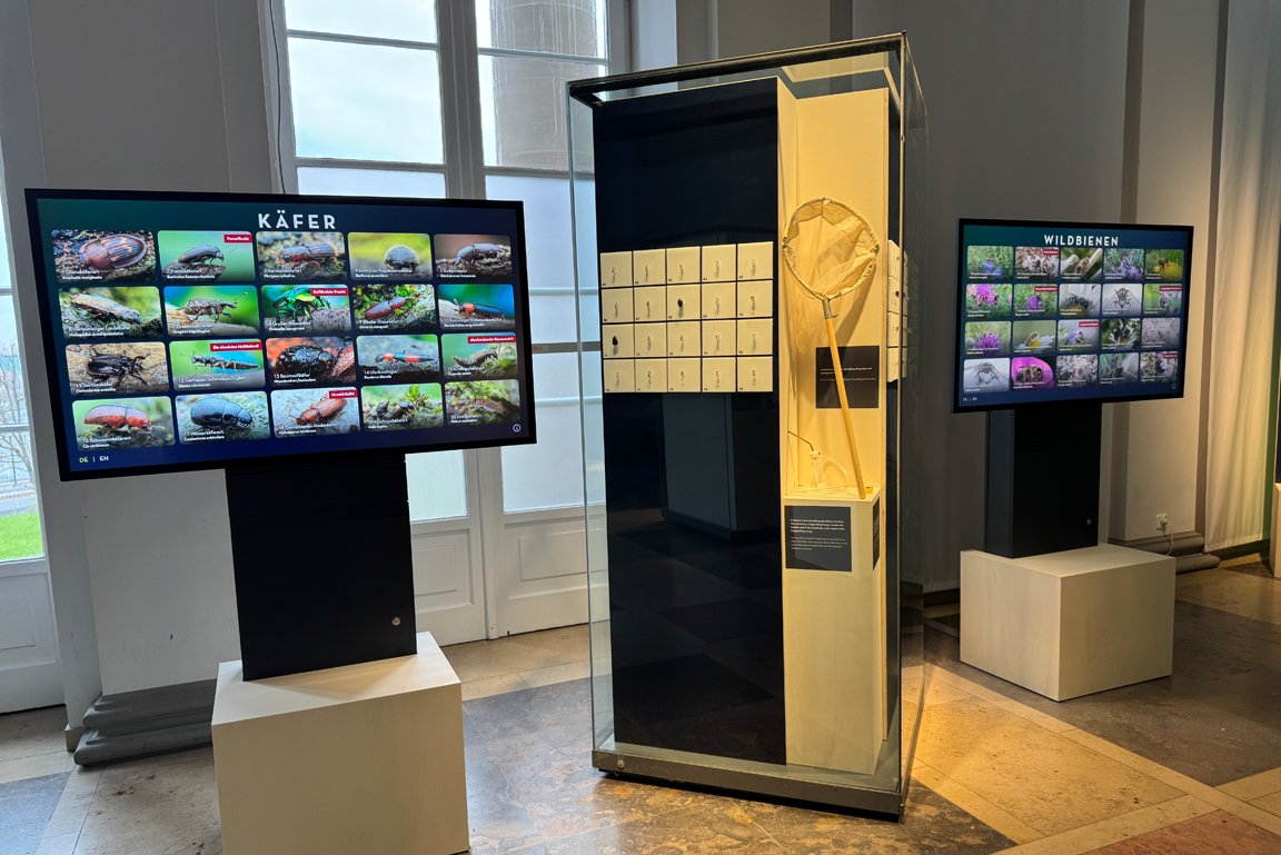 Zwei Monitore mit Informationen zu verschiedenen Arten und einer Vitrine mit Objekten dazwischen