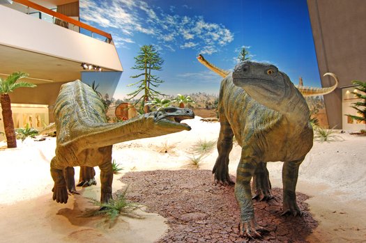 Übersicht Diorama Plateosaurier