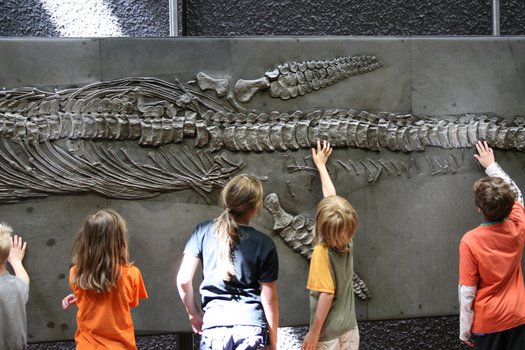 Kinder mit Fischsaurierfossil