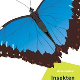 Titelbild Museumstour Insekten