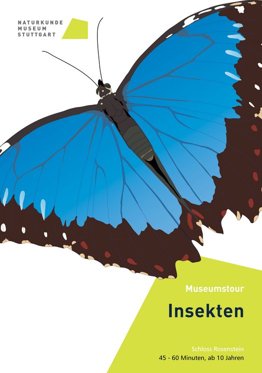 Titelbild Museumstour Insekten