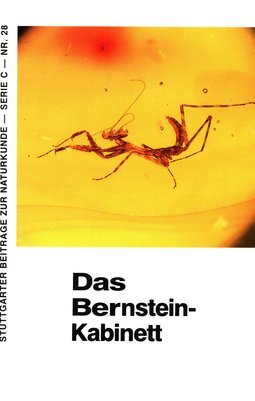 Cover Serie C Nr. 28 Das Bernstein-Kabinett