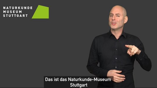 Screenshot aus dem Video in Deutscher Gebärdensprache mit Informationen zum Naturkundemuseum Stuttgart