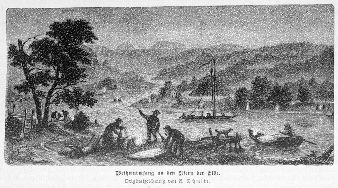 Historische Abbildung des Fangs von Uferaas