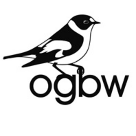 Logo Ornithologische Gesellschaft Baden-Württemberg