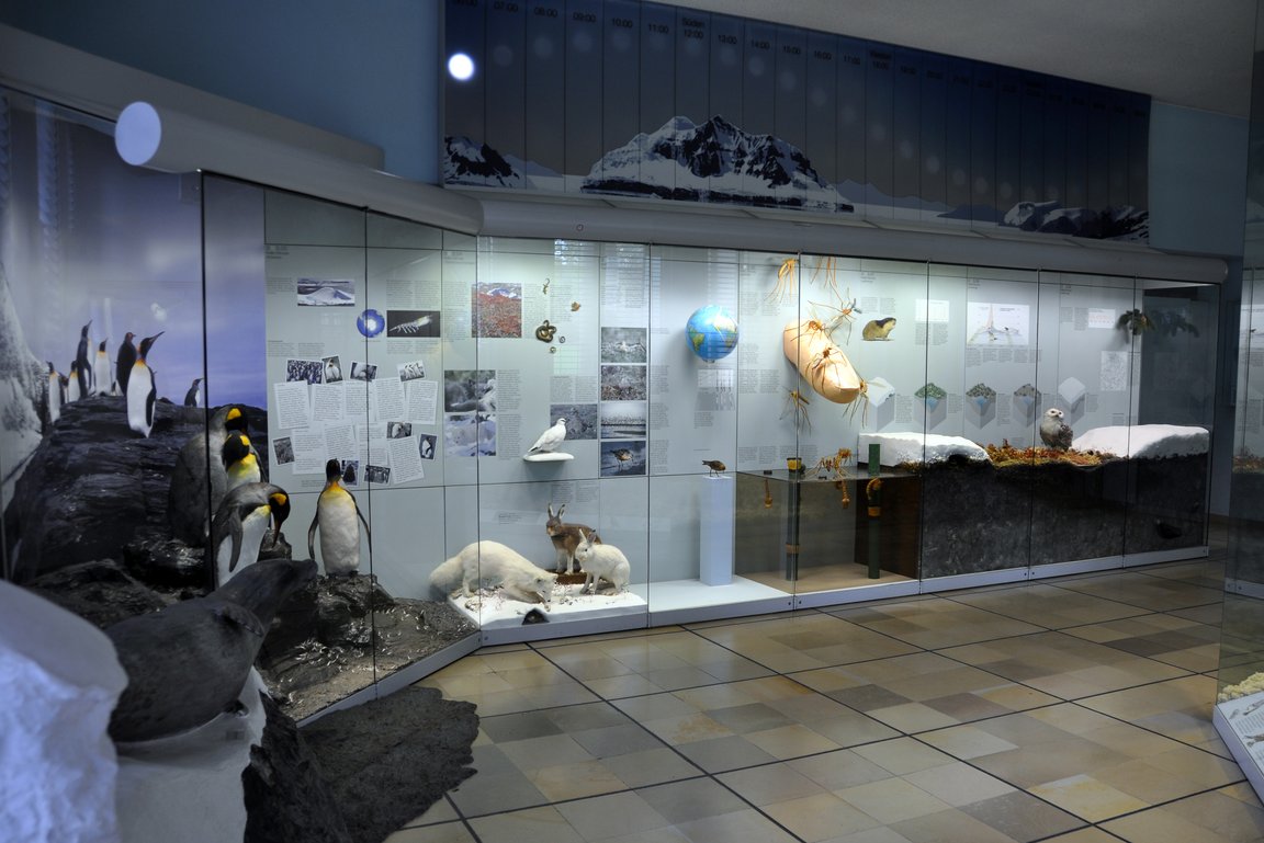 Übersicht Ausstellungsbereich polare Gebiete