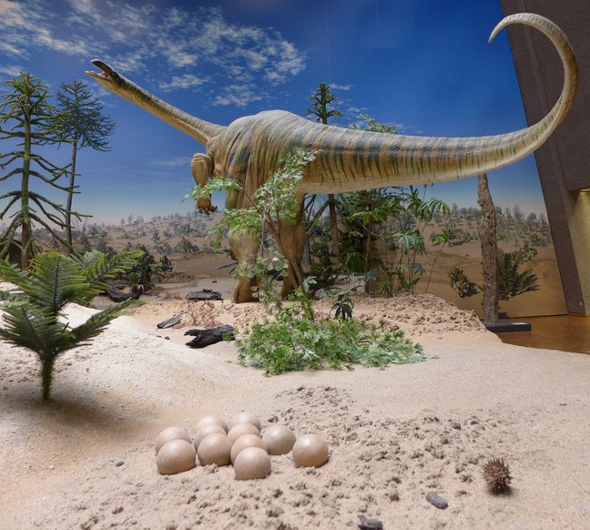 Modell eines Gresslyosaurus im Museum am Löwentor