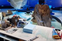 Tisch mit Material bei Umgestaltung Meeressaal