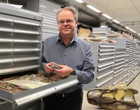 Paläontologe Rainer Schoch mit neu entdecktem Fossil in der Sammlung des Museums