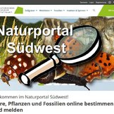 Screenshot Website Naturportal Südwest