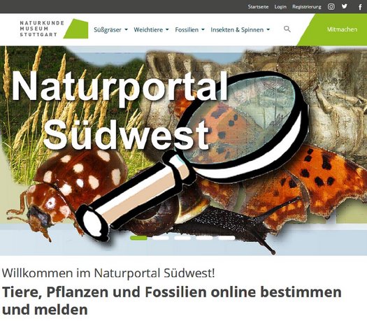 Screenshot Website Naturportal Südwest