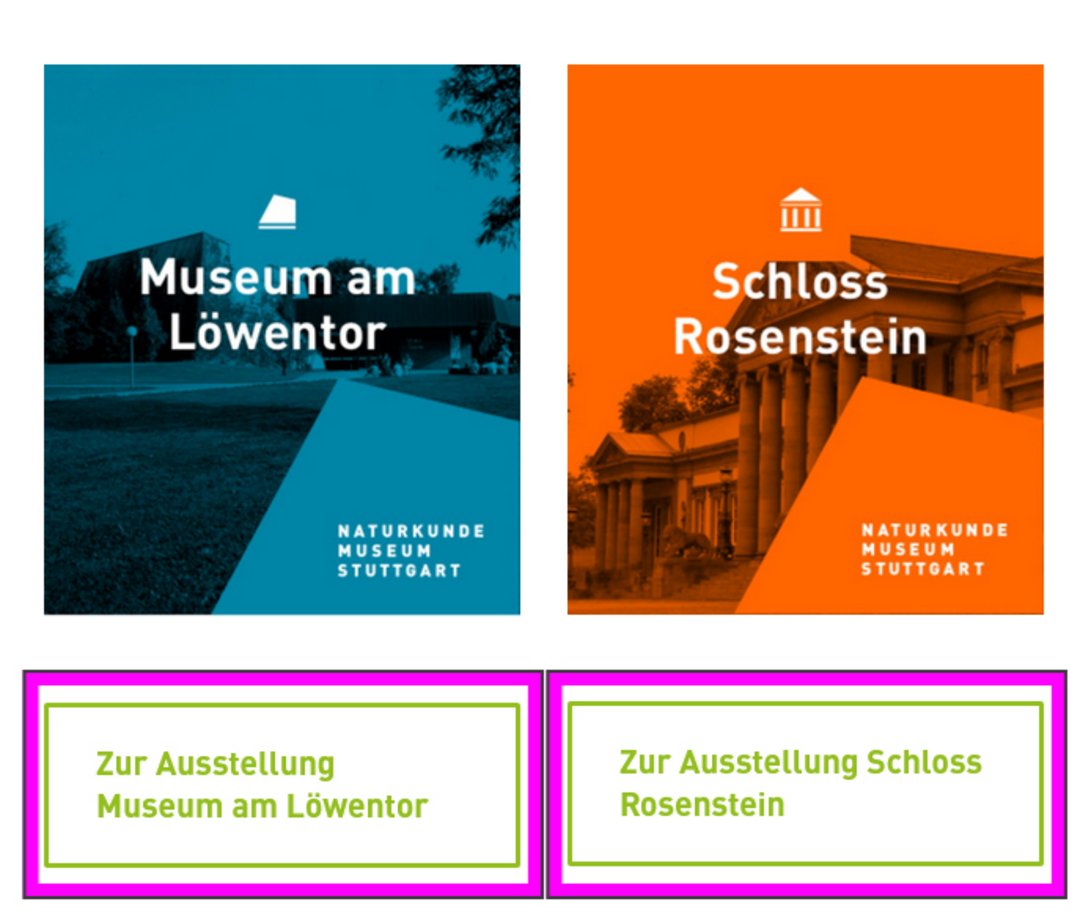 Markierte Buttons auf der Startseite des Naturkundemuseums Stuttgart, die jeweils zu den Ausstellungen im Museum am Löwentor und im Schloss Rosenstein verlinken