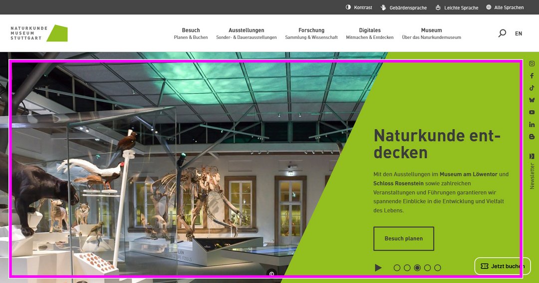 Startseite des Naturkundemuseums Stuttgart mit markiertem Header-Bereich