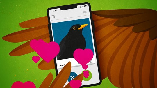 gezeichneter Vogelflügel, der Smartphone mit Partnersuche-App hält