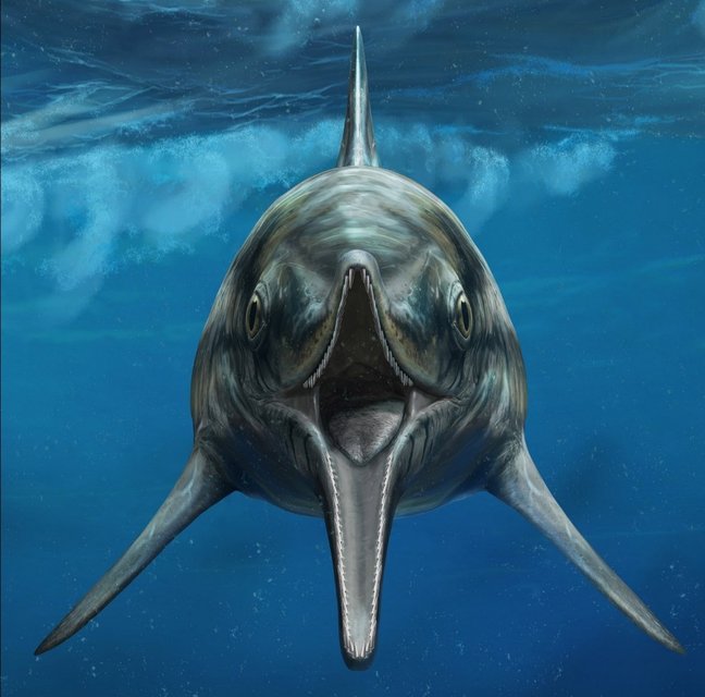 Künstlerische Darstellung des Fischsauriers Temnodontosaurus im Meer. Der Temnodontosaurus schwimmt mit geöffnetem Maul auf die betrachtende Person zu.