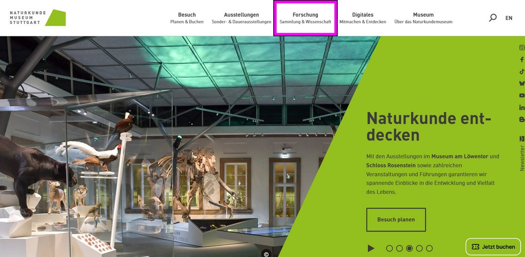Startseite des Naturkundemuseums Stuttgart mit markiertem Bereich Forschung in Menüleiste