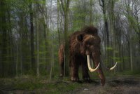 Digitale Rekonstruktion eines Mammuts im Wald.