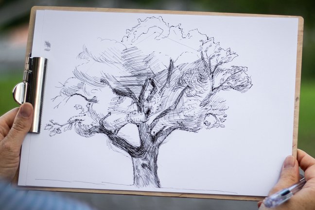 Gezeichneter Baum
