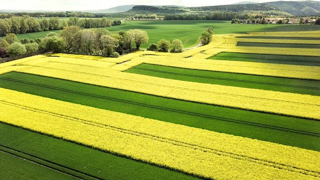 Streifenweise angelegte Ackerflächen