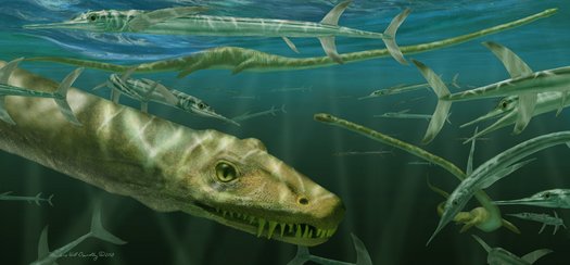  naturgetreue Illustration des Dinocephalosaurus orientalis, der neben einem prähistorischen Fisch namens Saurichthys schwimmt.