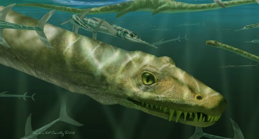 Rekonstruktion eines Dinocephalosaurus orientalis, der neben einem prähistorischen Fisch namens Saurichthys schwimmt.