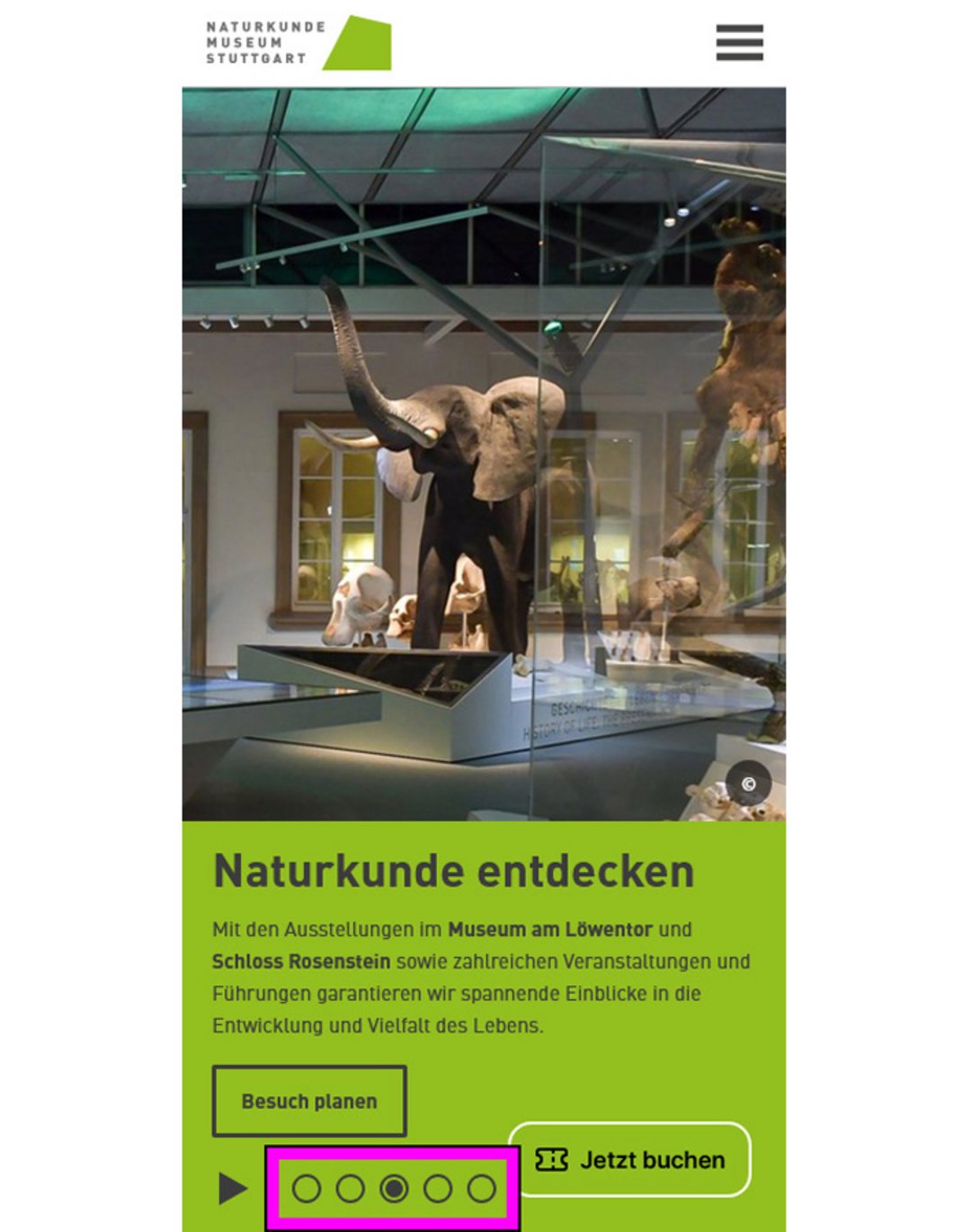 markierte Navigationspfeile im Header der mobilen Version der Startseite des Naturkundemuseums Stuttgart