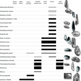 Illustration des Vorkommens verschiedener fossiler Schneckenarten in verschiedenen Landschaftstypen