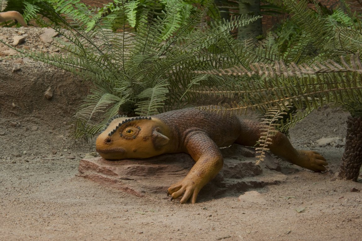 Modell Koiloskiosaurus Buntsandstein