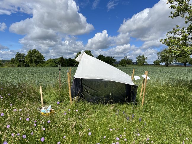 Eine Malaisefalle zum Fangen von fliegenden Insekten inmitten einer blühenden Wiese.