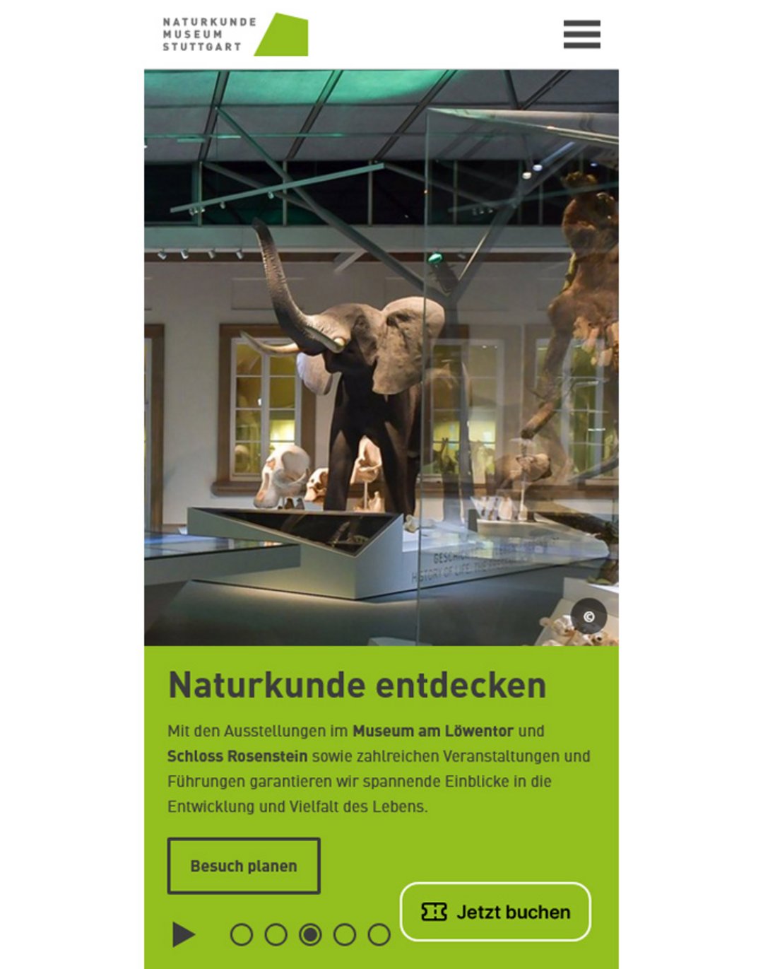 Startseite des Naturkundemuseums Stuttgart auf dem Smartphone