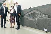 Drei Personen vor fossiler Fischsaurier Steinplatte.