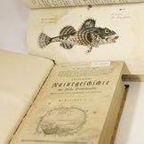Zwei Aufgeschlagene Bücher mit der Abbildung eines Fisches und der ersten Seite des Buches "Naturgeschichte der Fische Deutschlands"