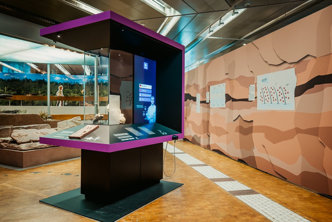 Kubisches Ausstellungselement mit Monitor, Originalfossil und verschiedenen Sinnessationen in der Ausstellung im Museum am Löwentor