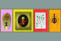 Collage der Sonderausstellung "Natur Museum Geschichte"
