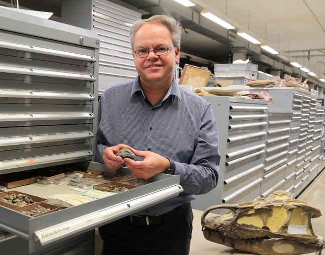 Paläontologe Rainer Schoch, der ein Fossil in der Hand hält in der Sammlung des Naturkundemuseums Stuttgart
