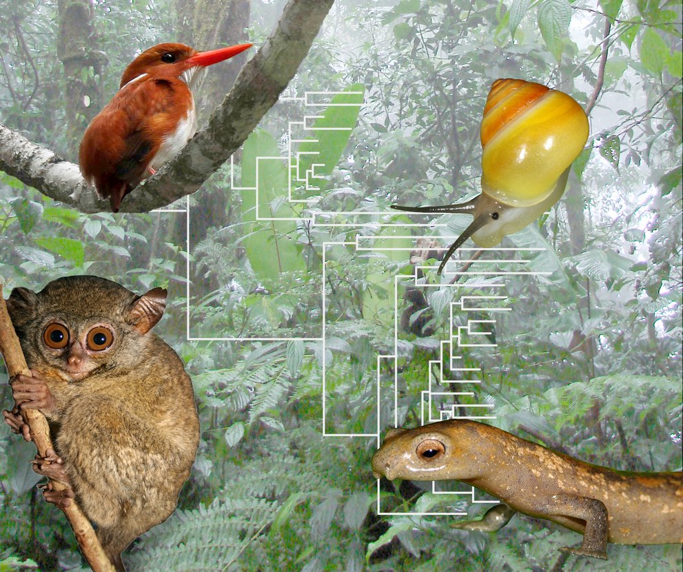 Zoologie Staatliches Museum für Naturkunde Stuttgart