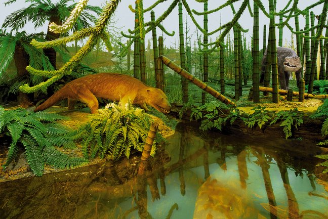 Diorama Landschaft des Unteren Keupers