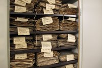Schrank voller historischer Herbarbelege