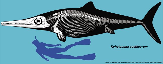 Illustrierter Größenvergleich zwischen einem Fischsaurier und einem Menschen