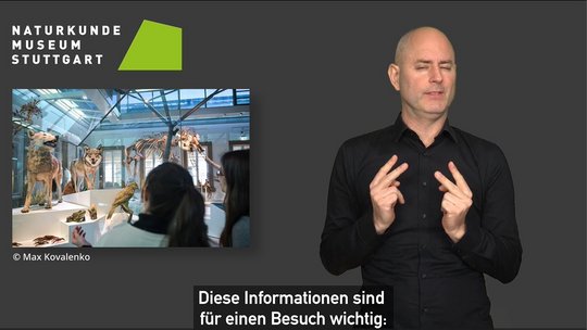 Screenshot aus dem Video in Deutscher Gebärdensprache mit Informationen zur Navigation der Internetseite